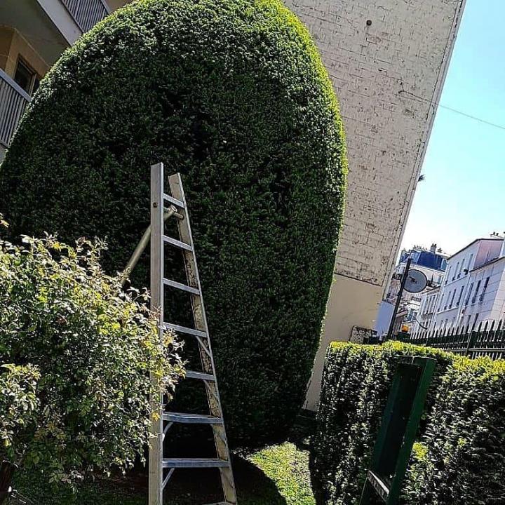 Quels sont les éléments clés d'un aménagement paysager réussi ? Chelles