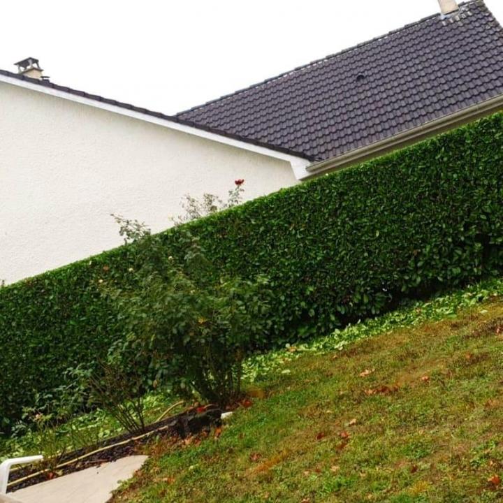 Aménagement espace vert Chelles